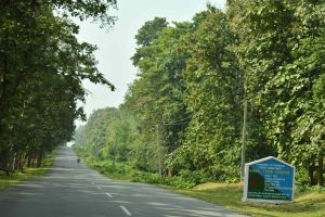 Kawal Tiger Reserve tourism